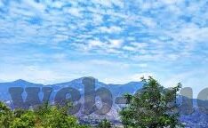 麻豆91下载-麻豆91下载，网络下载平台与内容消费的多元化探索