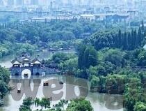 麻豆绿巨人app草莓香蕉-躁动都市的隐秘秘密，麻豆绿巨人app的探索之旅