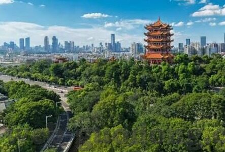麻豆蜜桃国产精品免费视频-解锁视界新体验，探秘国产麻豆蜜桃系列视频
