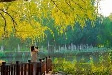 人妻毛片-家庭温馨的另一面，人妻角色的细腻描绘