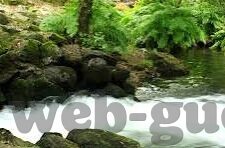 丝袜伦理片-丝袜与伦理的微妙交织，时尚与道德的边界探讨