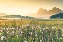 糖心app应用下载-解锁娱乐新体验，探究糖心App的下载与魅力