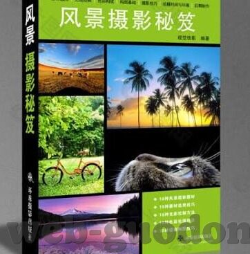 糖心vlog百度-甜蜜的背后——糖心vlog与百度探索之旅