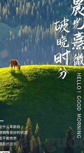 糖心vlog旧版入口在哪-探索糖心Vlog旧版的独特魅力，掌握经典之门