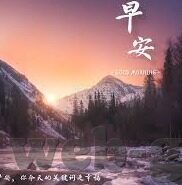 糖心vlog最新视频-糖心Vlog，捕捉生活微甜时刻新视界