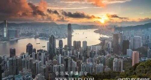 糖心直播app下载-解锁糖心直播APP，探索互动直播的新维度